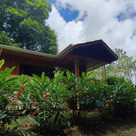 Gambas Lodge La Fortuna Exterior photo