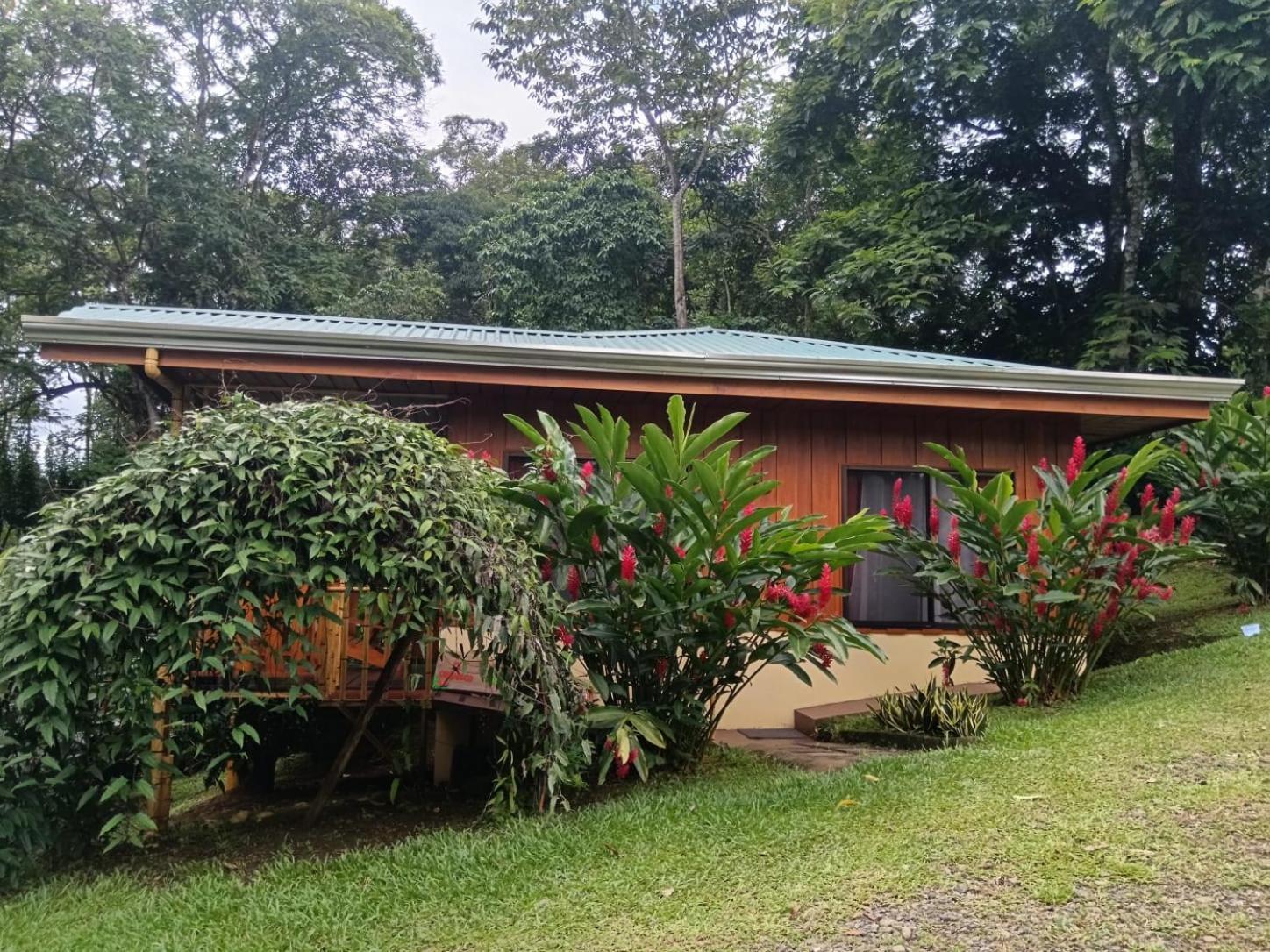 Gambas Lodge La Fortuna Exterior photo