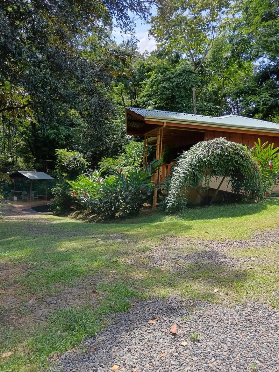 Gambas Lodge La Fortuna Exterior photo