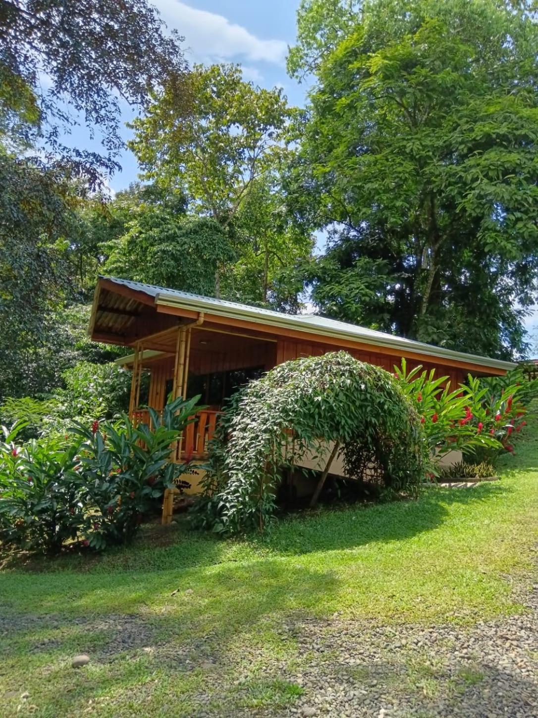 Gambas Lodge La Fortuna Exterior photo